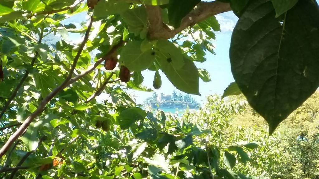 마로네 Il Pozzo 아파트 외부 사진